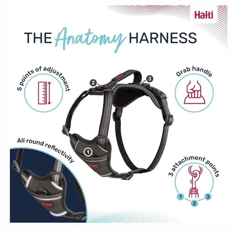Halti Anatomy Reflective Dog Harness grey, Large: 23.5 to 33.5-in chest